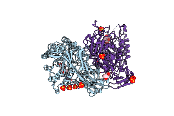 8DHV image