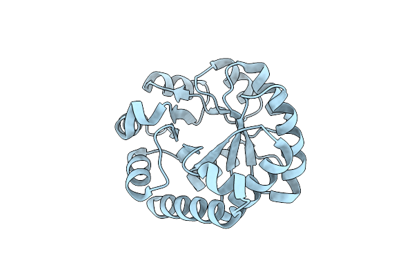 8DI1 image