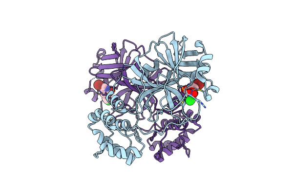 8DIB image