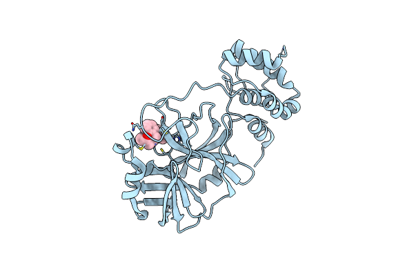 8DII image