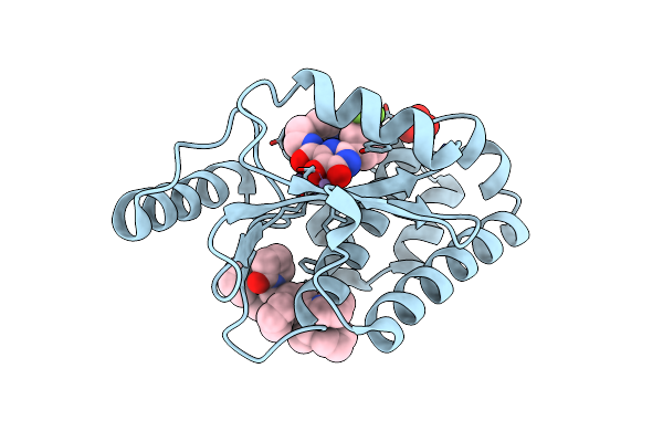 8DIP image