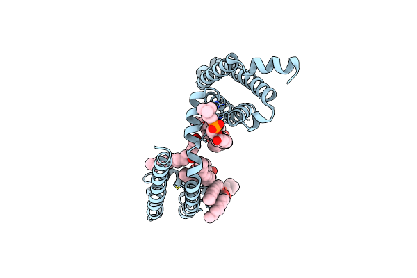 8DIX image