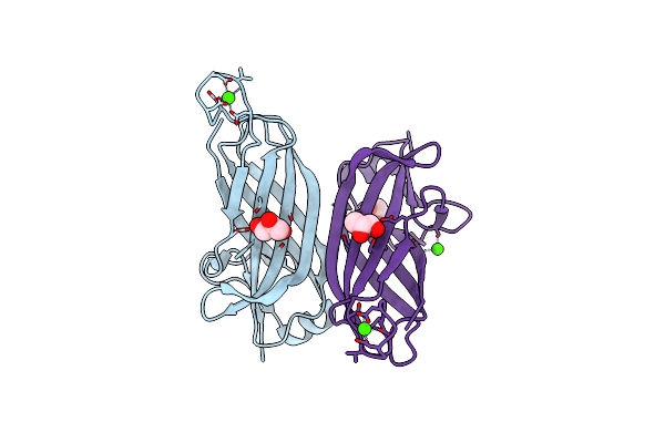 8DJ2 image