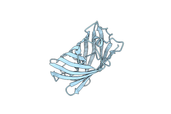 8DJ8 image