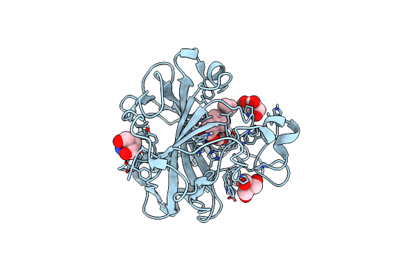 8DJ9 image