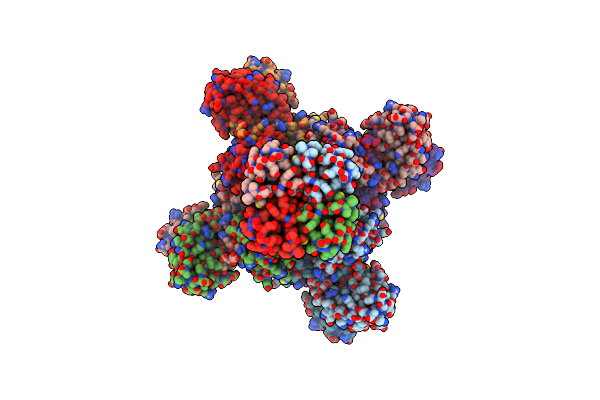8DJB image