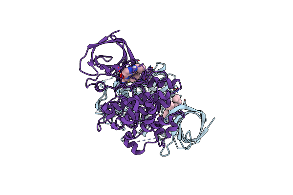 8DJE image