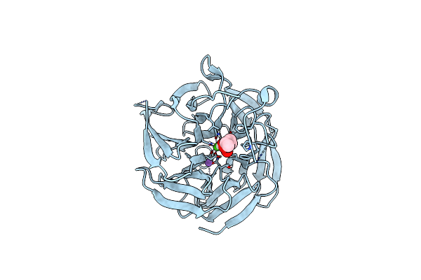 8DJF image