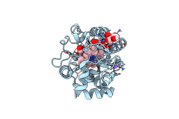 8DJS image