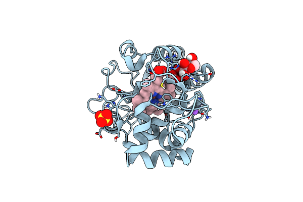 8DJU image