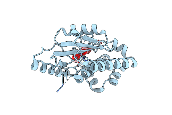 8DJV image