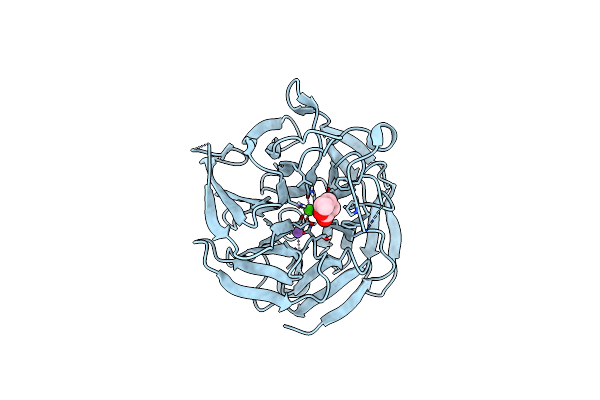 8DK0 image