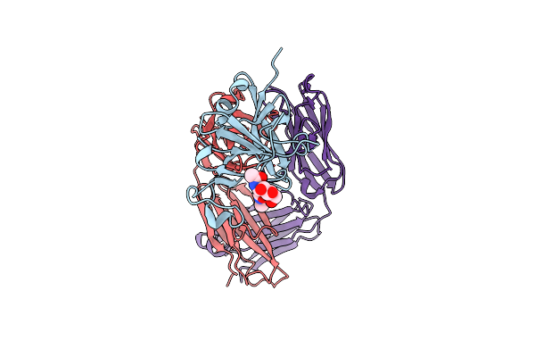 8DK6 image