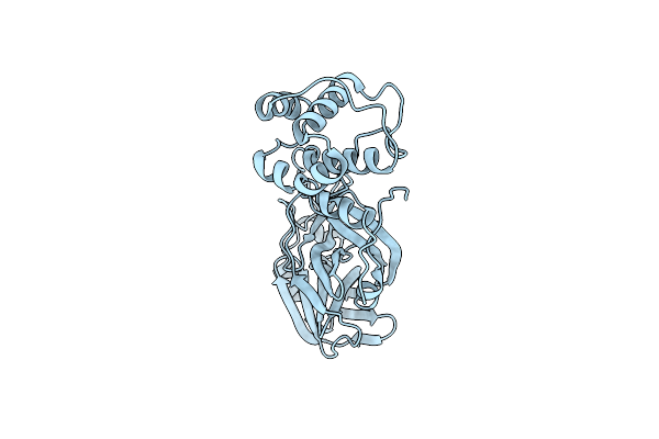 8DKH image