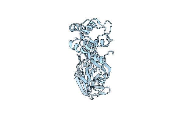 8DKK image