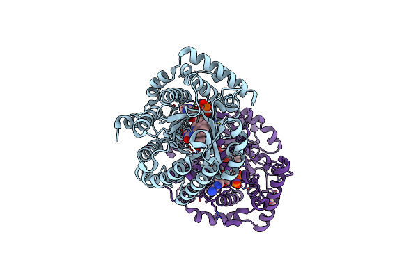 8DKQ image