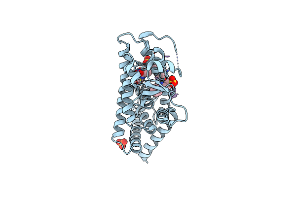 8DKV image