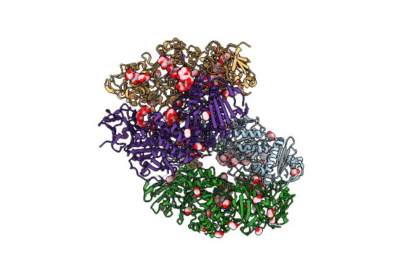 8DL1 image