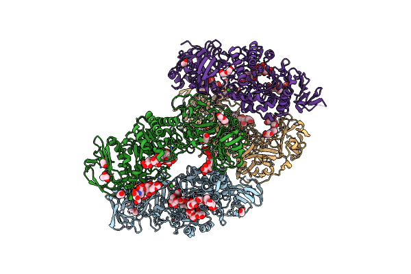 8DL2 image