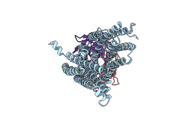 8DL6 image