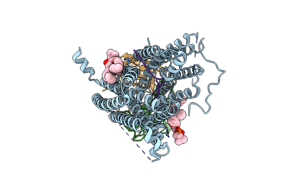 8DL7 image