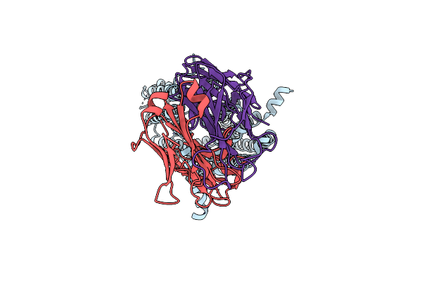 8DL8 image
