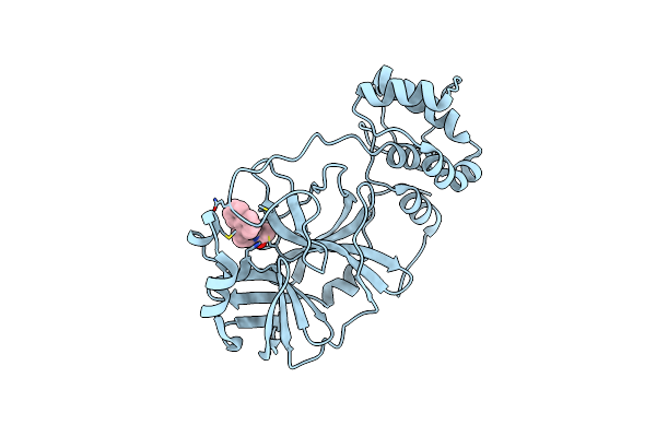 8DL9 image