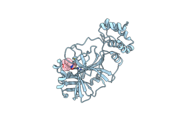 8DLB image