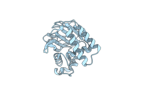 8DLD image