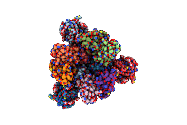 8DLW image