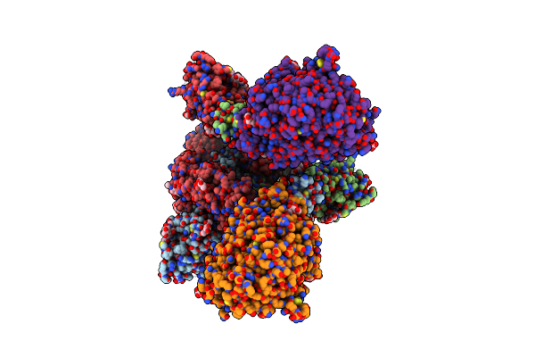 8DM5 image