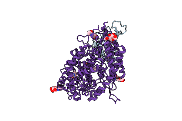 8DM6 image