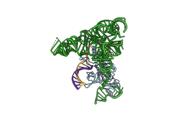 8DMB image