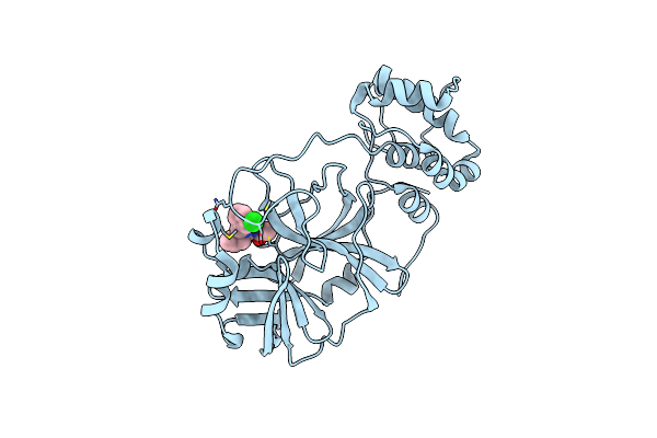 8DMD image