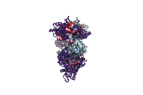 8DME image