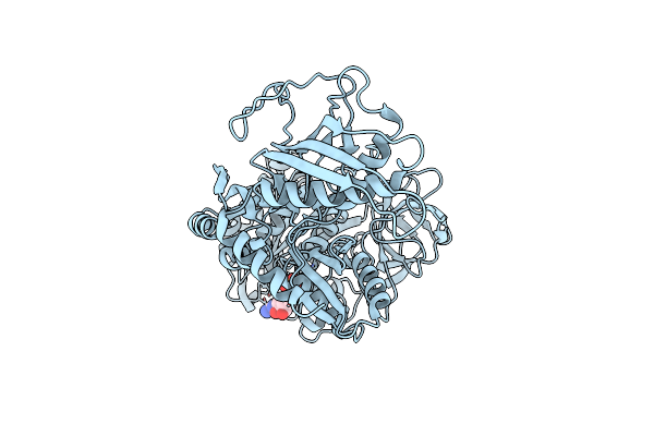 8DMF image