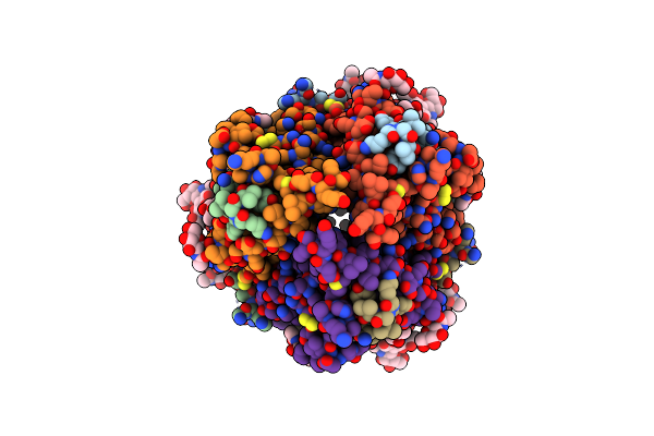 8DMI image