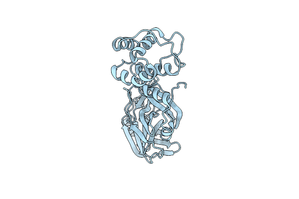 8DMN image