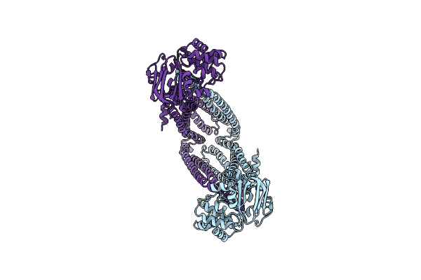 8DMO image