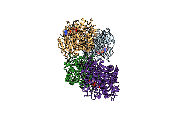 8DMT image