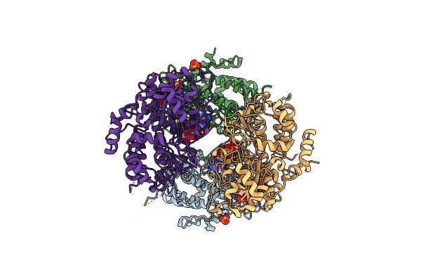 8DMU image