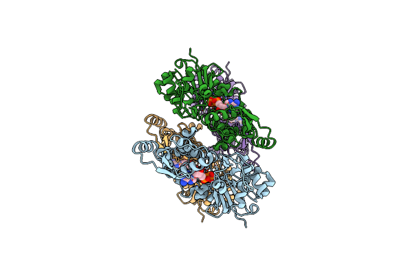 8DMX image
