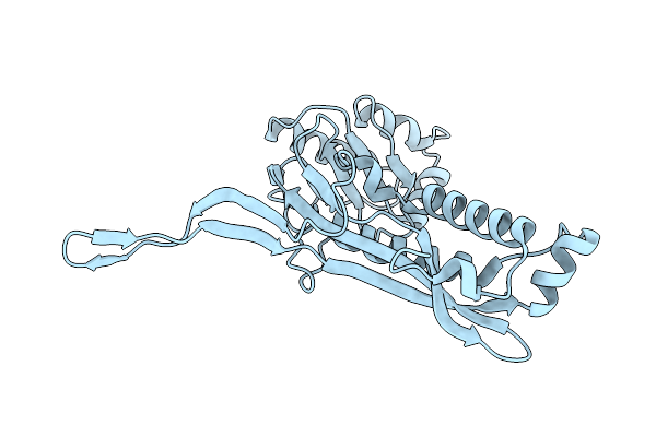 8DNA image
