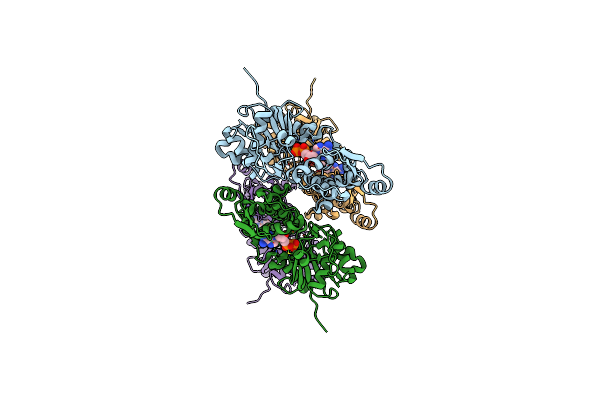 8DNF image