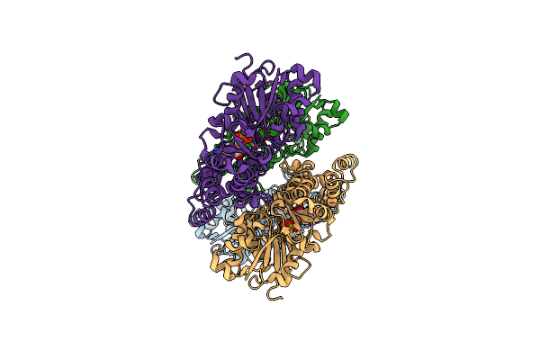 8DNH image