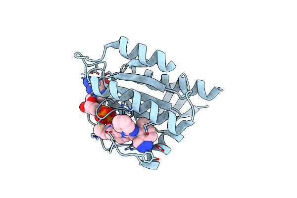 8DNI image