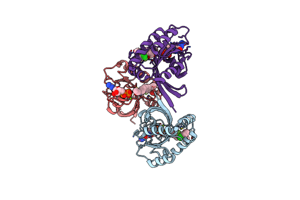8DNJ image
