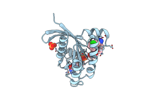8DNK image