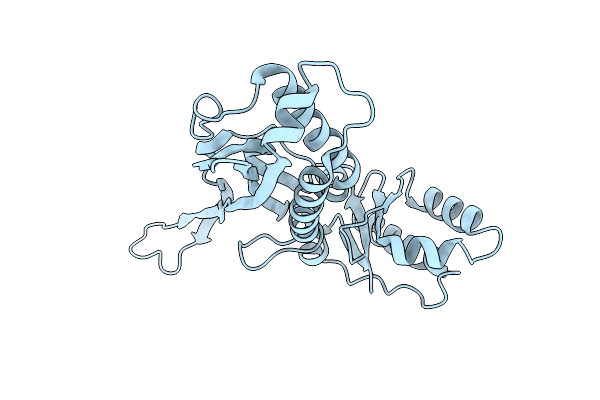 8DNL image