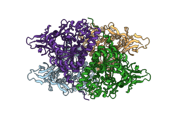 8DNM image